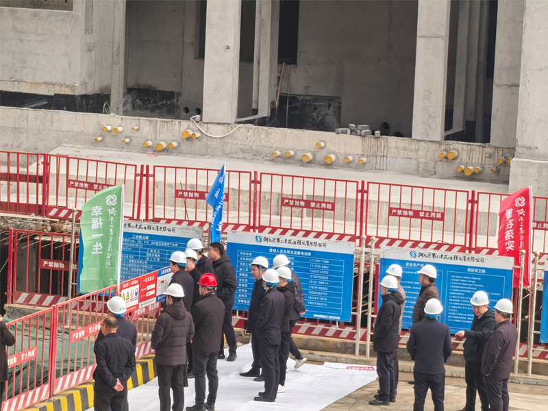 新鄉市委書記李衛東一行到我公司國悅城譽府項目開展調研工作